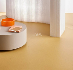 Forbo Marmoleum Solid Cocoa 3587 curcuma фото 3 | FLOORDEALER